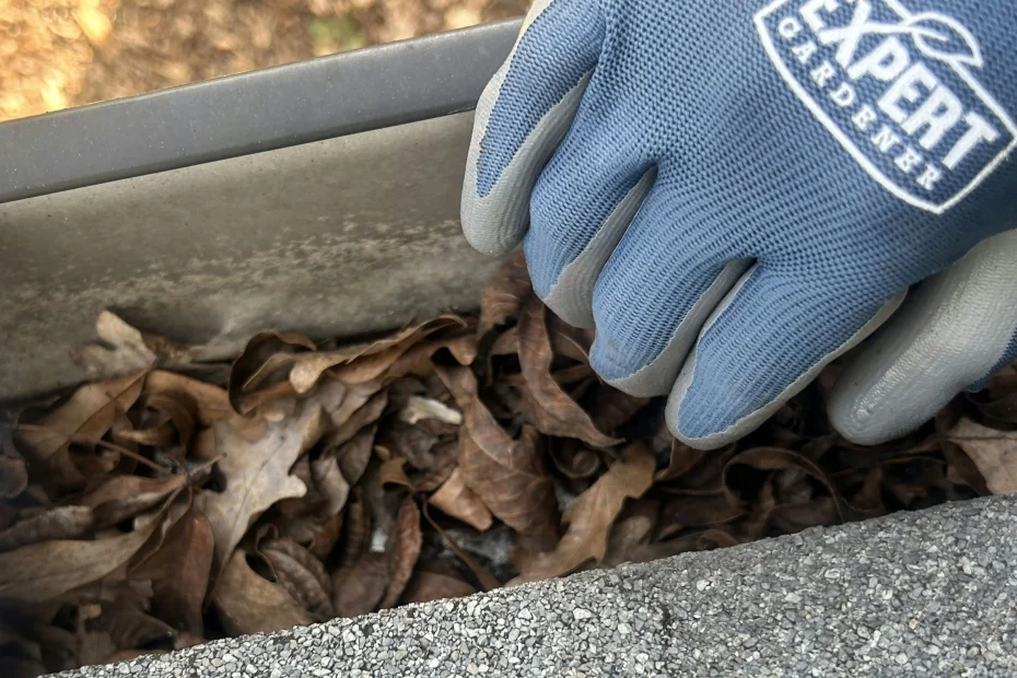 Gutter Cleaning Florissant, MO