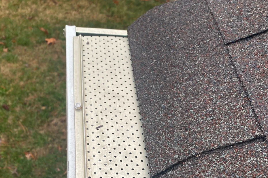 Gutter Cleaning Florissant, MO